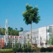 綿陽(yáng)農(nóng)業(yè)學(xué)校2022年簡(jiǎn)介、地址在哪,學(xué)費(fèi)多少-學(xué)校有專業(yè) 單招分?jǐn)?shù)線