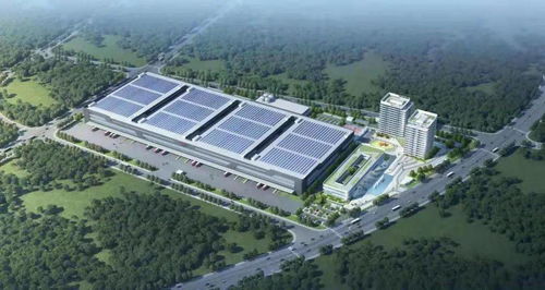 在六大比拼中干出 虎氣 ,新的一年我們準(zhǔn)備這么干