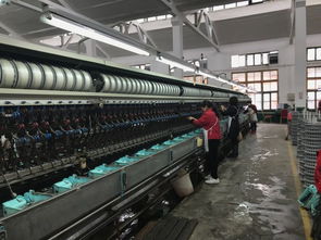 綿陽(yáng)豐谷絲廠,樂(lè)至紅旗絲廠的學(xué)生,如今超過(guò)樂(lè)至了