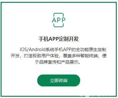 綿陽軟件開發(fā)