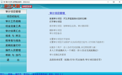 審計(jì)大師軟件官方版