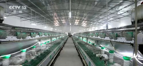 開發(fā)衍生農(nóng)產(chǎn)品 發(fā)展創(chuàng)意農(nóng)業(yè) 鄉(xiāng)村振興展現(xiàn) 別樣美